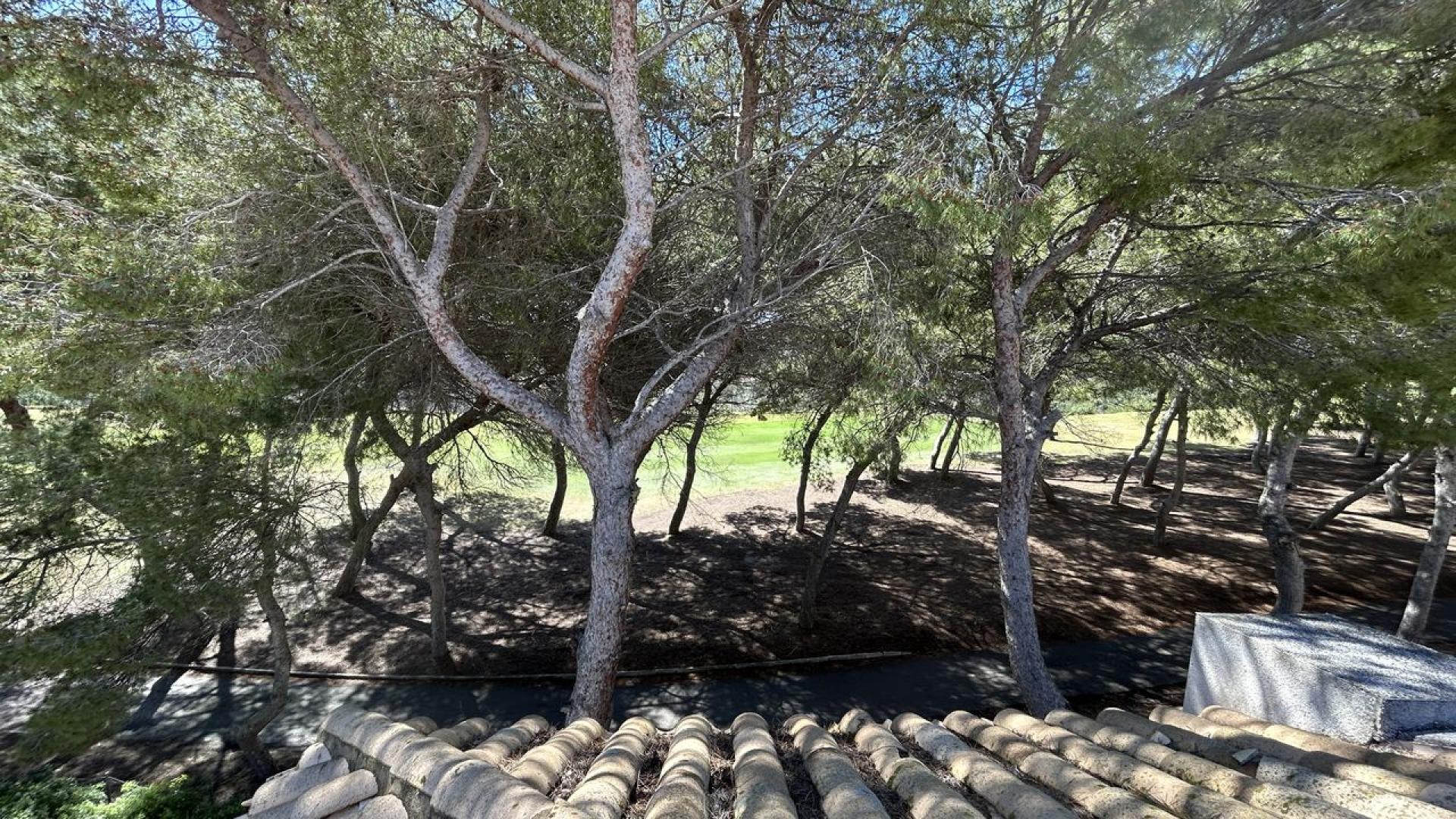 Las Ramblas, Atico con plaza privada en 1ª linea del campo de golf