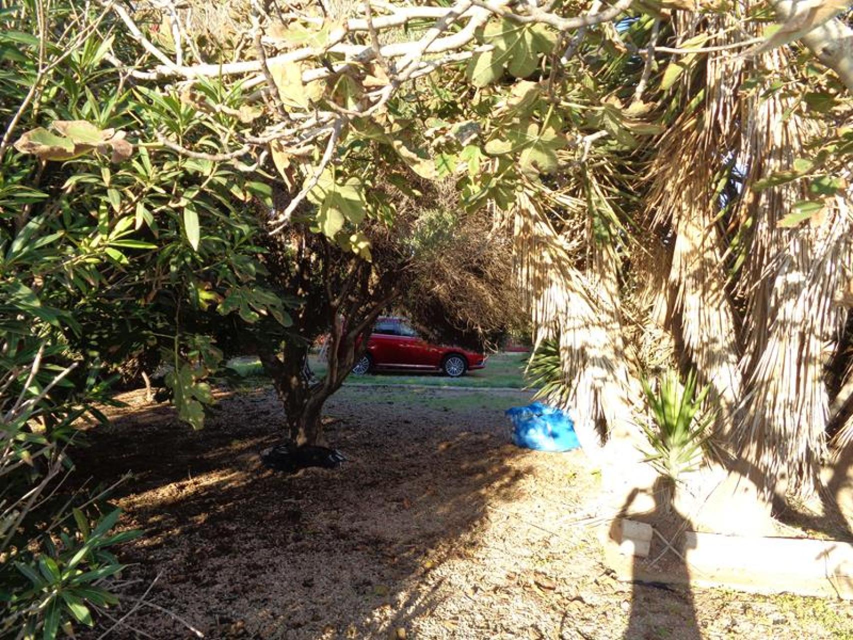 Torrevieja, Rocio Del Mar, Strandvilla mit 1200 m² Grundstück