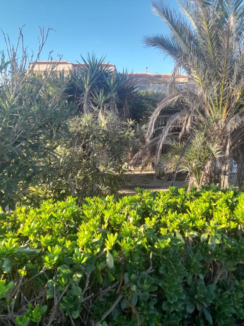 Torrevieja, Rocio Del Mar, Strandvilla mit 1200 m² Grundstück